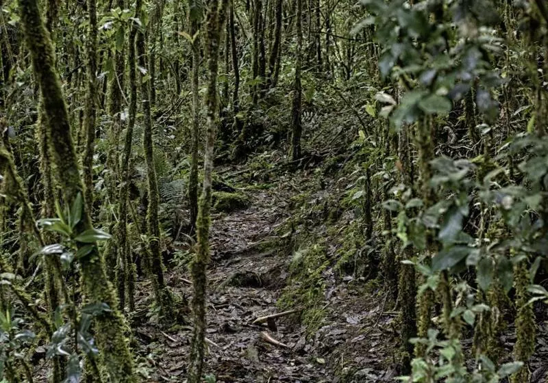 호텔 Paraiso Quetzal Lodge