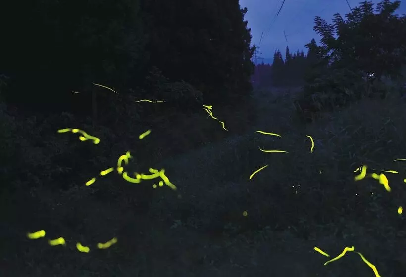 هتل Yuzawa Yuzawa