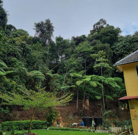بنسيون Arundina Cameron Highlands