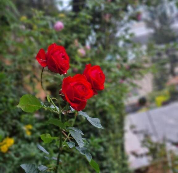 بنسيون Arundina Cameron Highlands