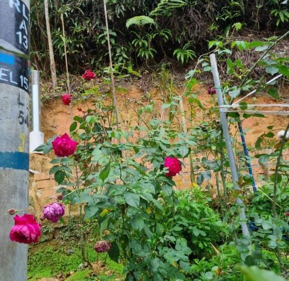 بنسيون Arundina Cameron Highlands