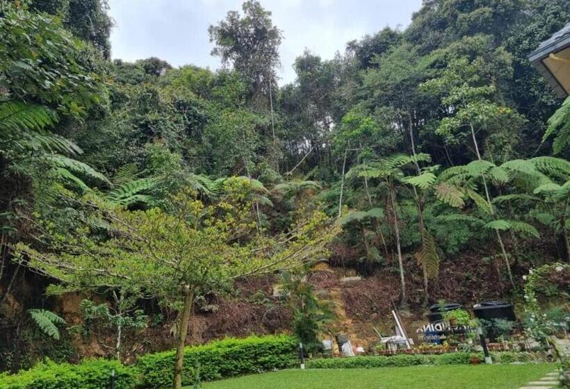بنسيون Arundina Cameron Highlands