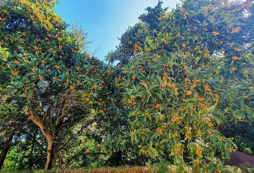 پانسیون Villa Sargiano