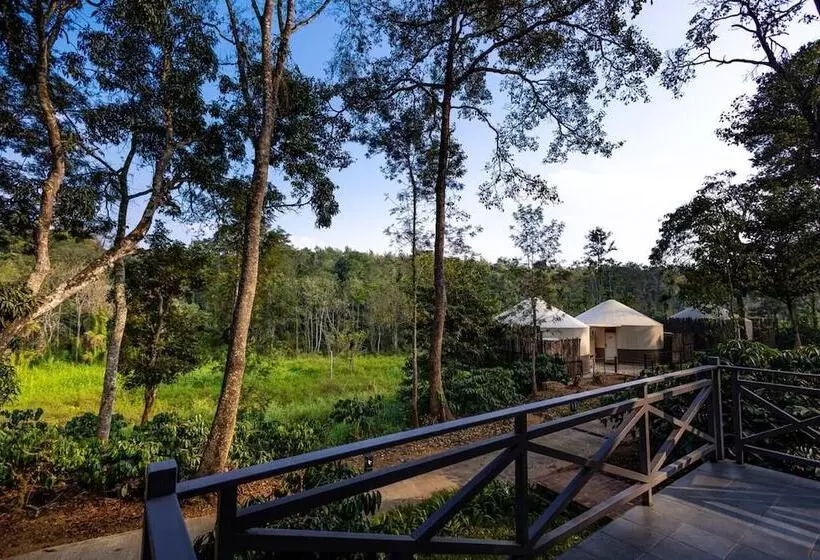 ホテル Machaan Wilderness Lodge Nagarahole
