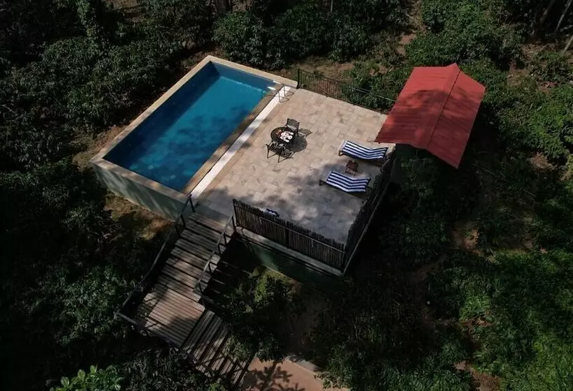 ホテル Machaan Wilderness Lodge Nagarahole