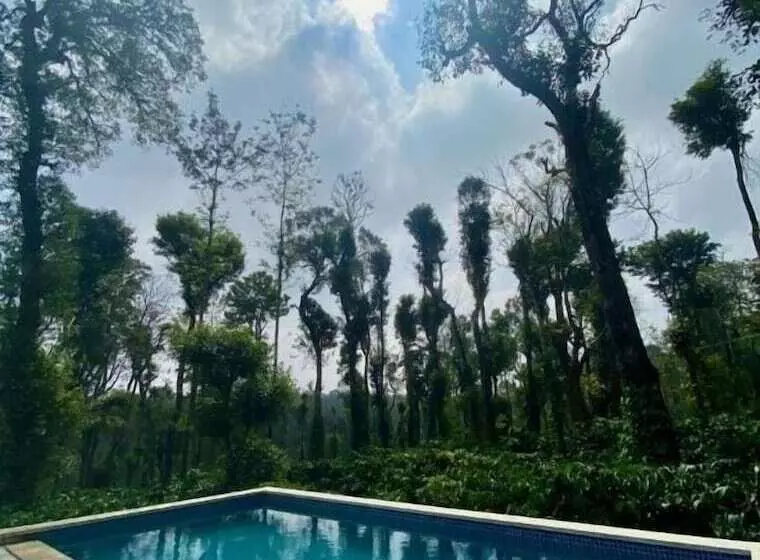 ホテル Machaan Wilderness Lodge Nagarahole