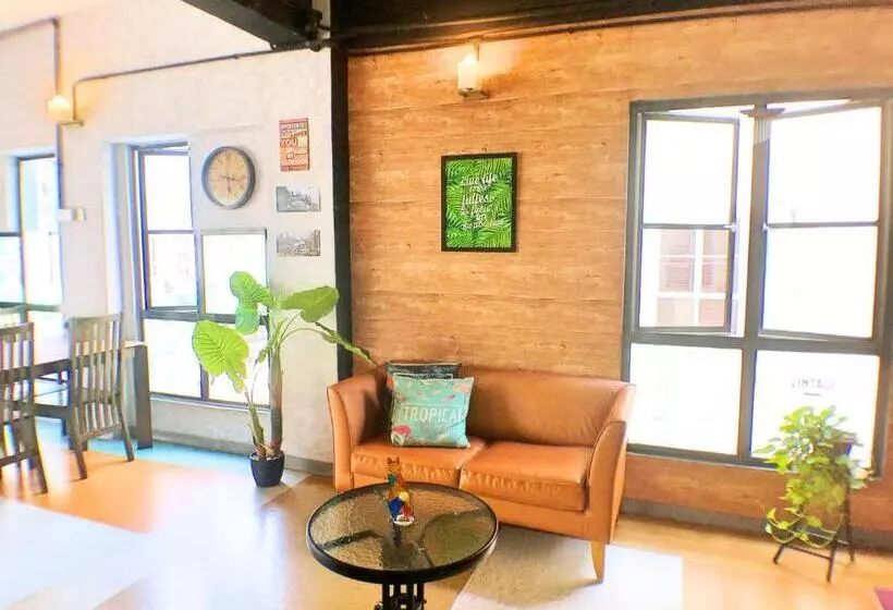 Lavender Guesthouse   Hostel