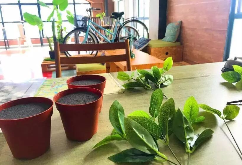 Lavender Guesthouse   Hostel