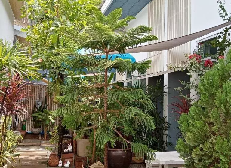 Отель Daddy S Home Huahin