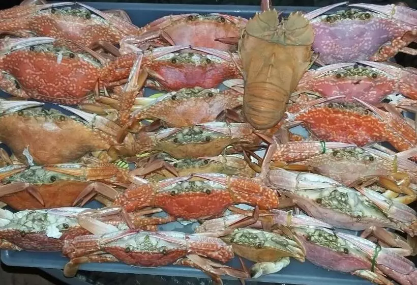 호텔 Sea Gate Beach Resort