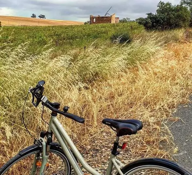 Amy S House Bed & Breakfast