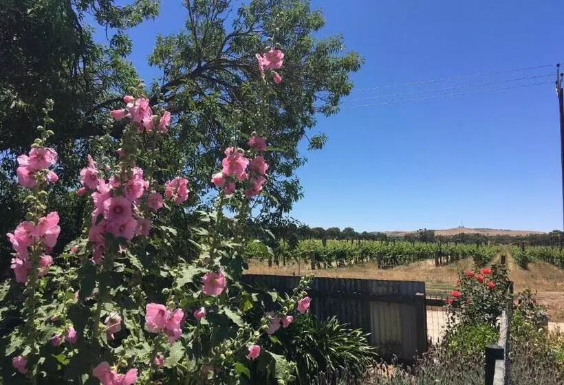 Amy S House Bed & Breakfast