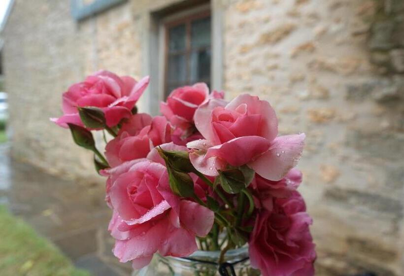 Amy S House Bed & Breakfast