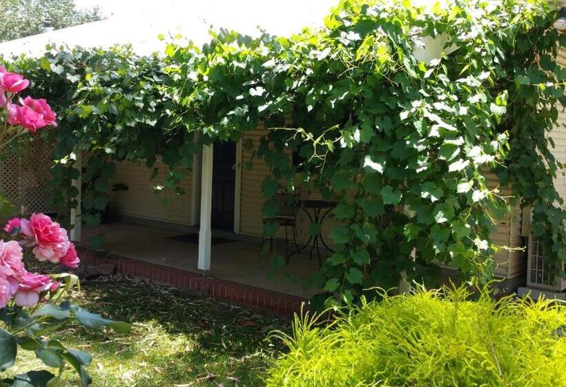 Amy S House Bed & Breakfast