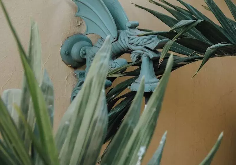 تختخواب و صبحانه Casa Florida