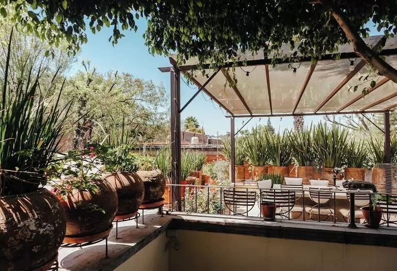 تختخواب و صبحانه Casa Florida