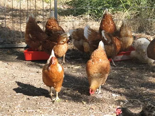 Bed and Breakfast Lakeview Lodge