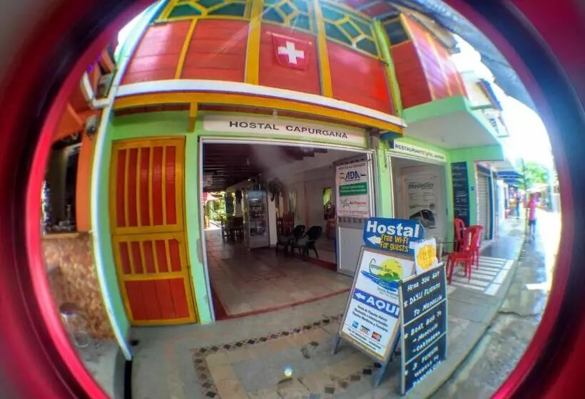 Otel Hostal Capurgana