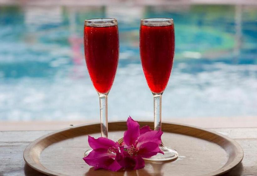 בית מלון כפרי Ibiza Phi Phi