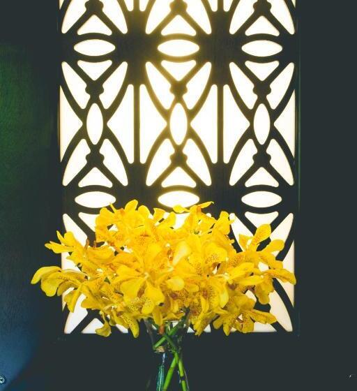 בית מלון כפרי Ibiza Phi Phi