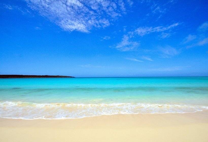 فندق Marine Lodge Marea