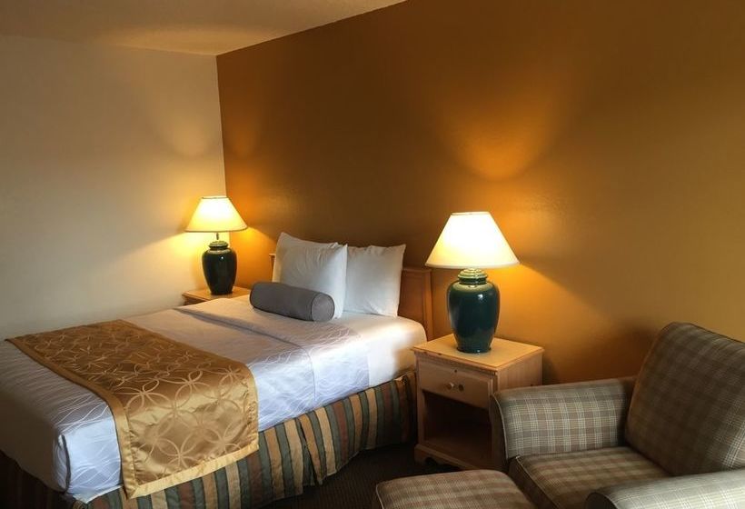 فندق على الطريق Tiki Lodge