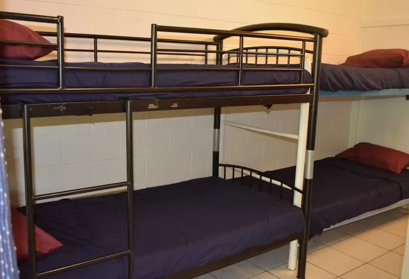 هاستل Frogshollow Backpackers