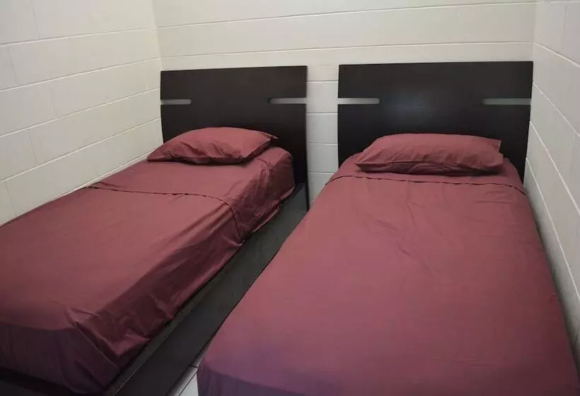 هاستل Frogshollow Backpackers