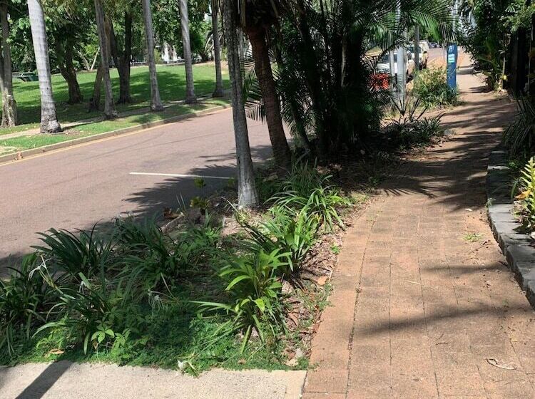 فندق صغير Frogshollow Backpackers