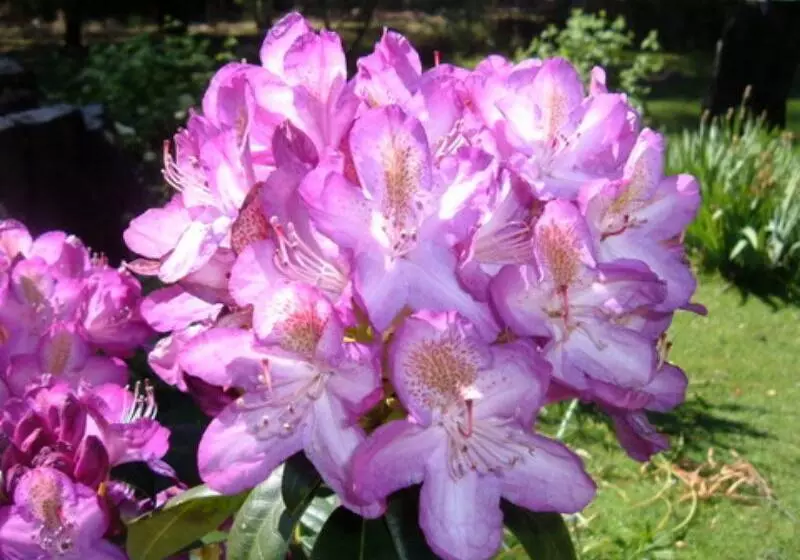 Bed and Breakfast Oyster Cove Chalet