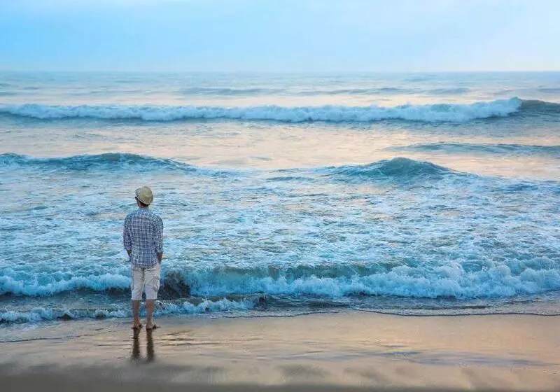 ホテル Ibis Chennai City Centre An Accor Brand