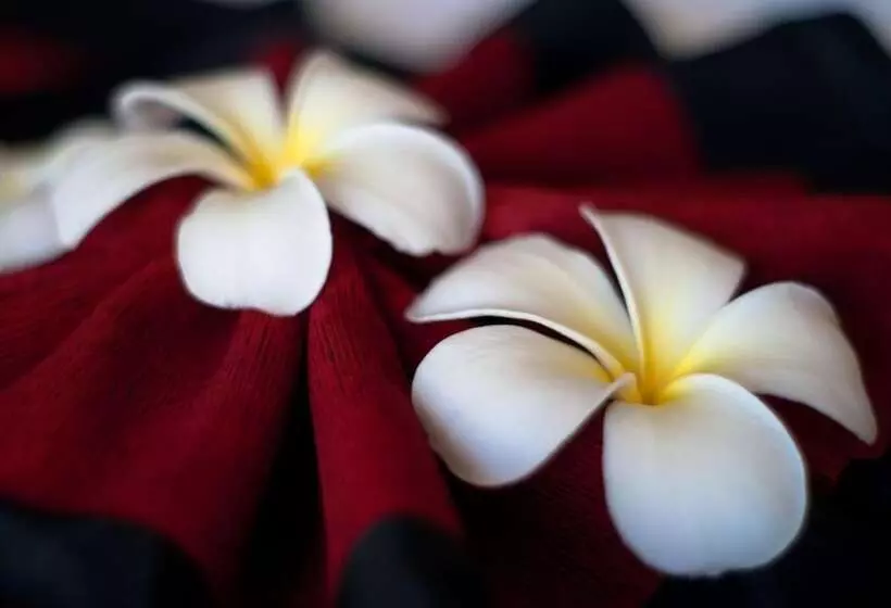 בית מלון כפרי P10 Samui