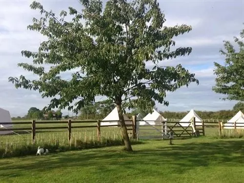 호텔 Skipbridge Farm Glamping