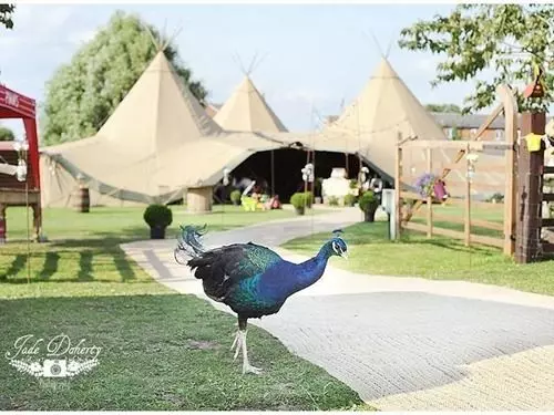 호텔 Skipbridge Farm Glamping
