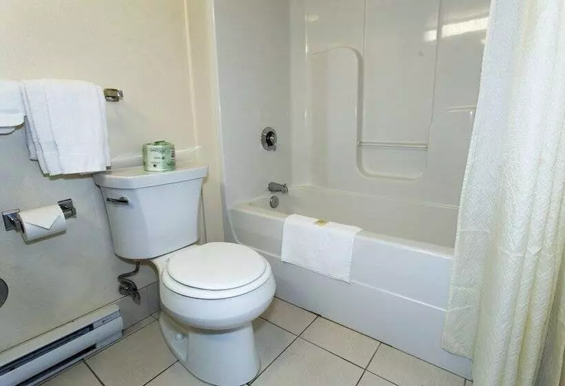 Мотель The Liberty Lodge Williamsport