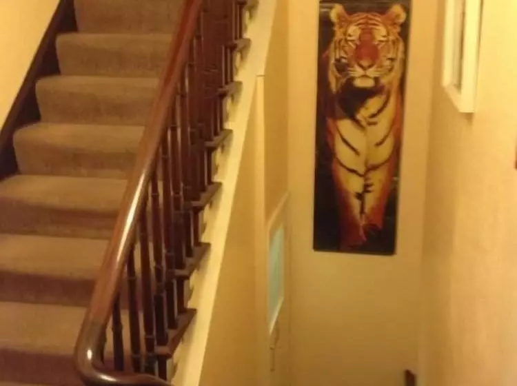 Pensionat Grisnoir Guest House