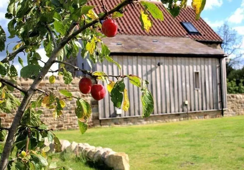 Plum Tree Cottage