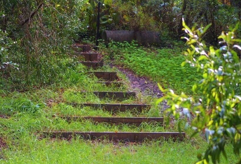 Black Cockatoo Lodge