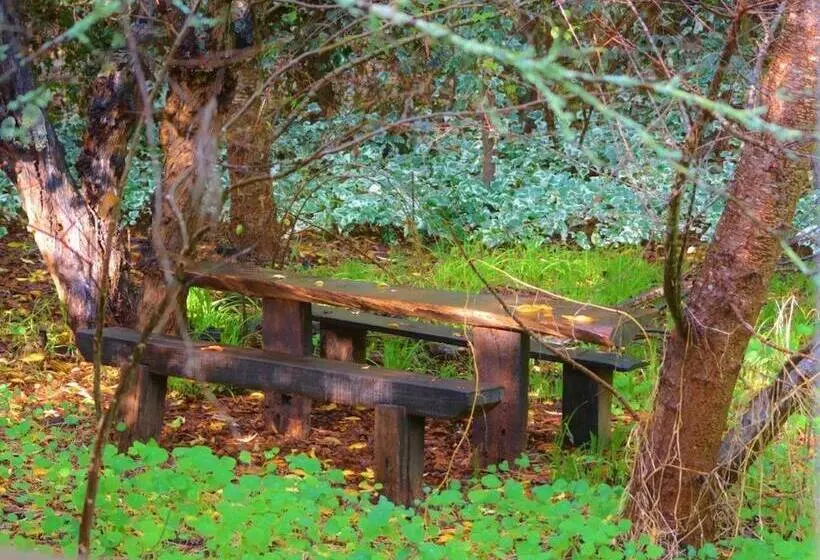 Black Cockatoo Lodge
