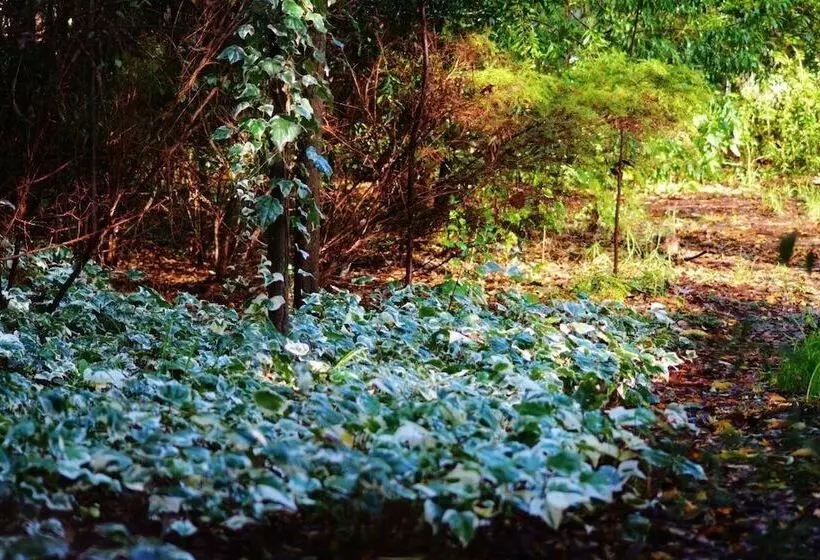 Black Cockatoo Lodge