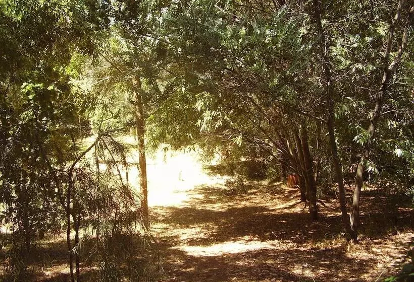 Black Cockatoo Lodge