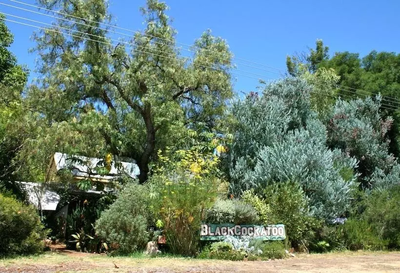 Black Cockatoo Lodge