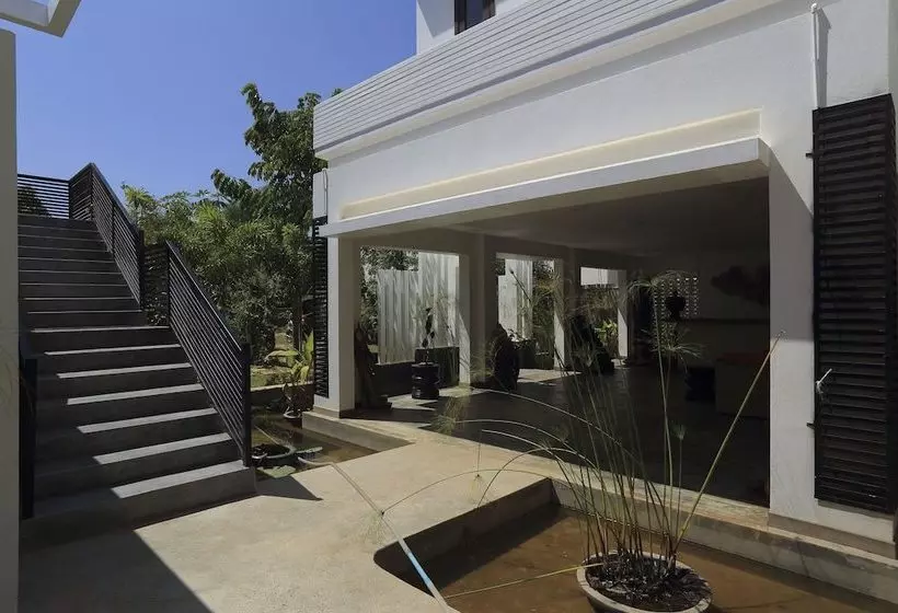 Tropic Jungle Boutique Hotel