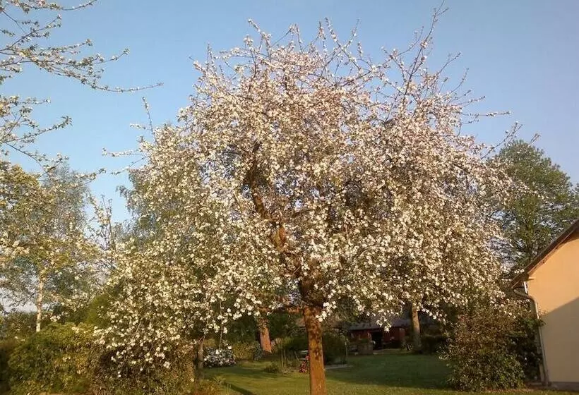 ベッドアンドブレックファースト Les Marronniers