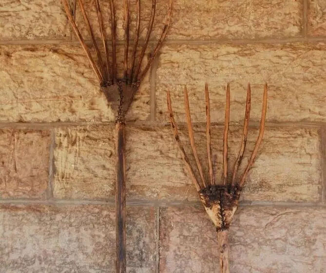 민박 Sandstone Chameleon Guest House