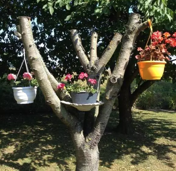 ベッドアンドブレックファースト Vivans Bed And Self Catering