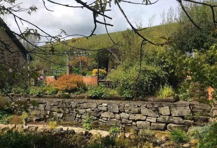 Castleview Bed & Breakfast