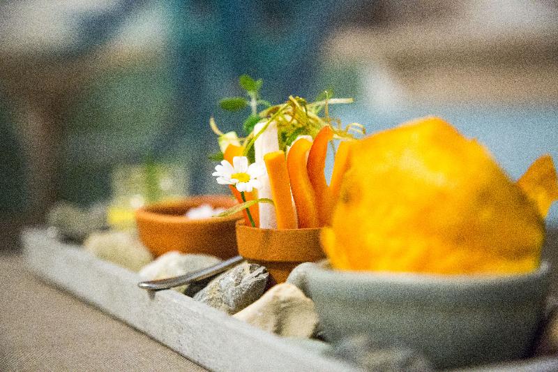 Boutique & Business Hotel La Tureta