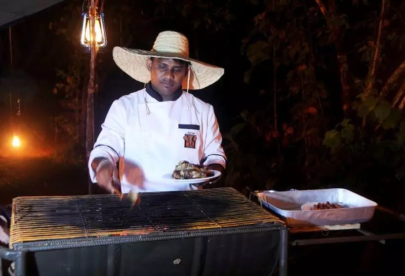 Отель Sigiriya Lodge Hostel