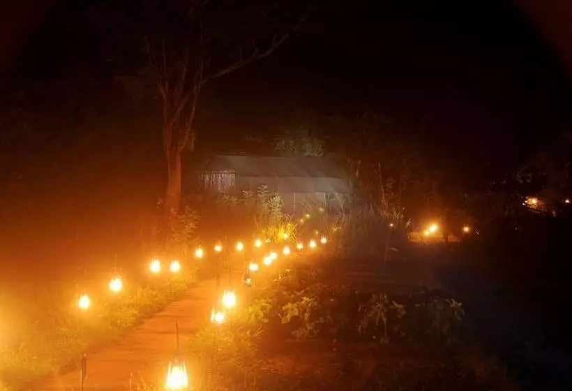 Отель Sigiriya Lodge Hostel